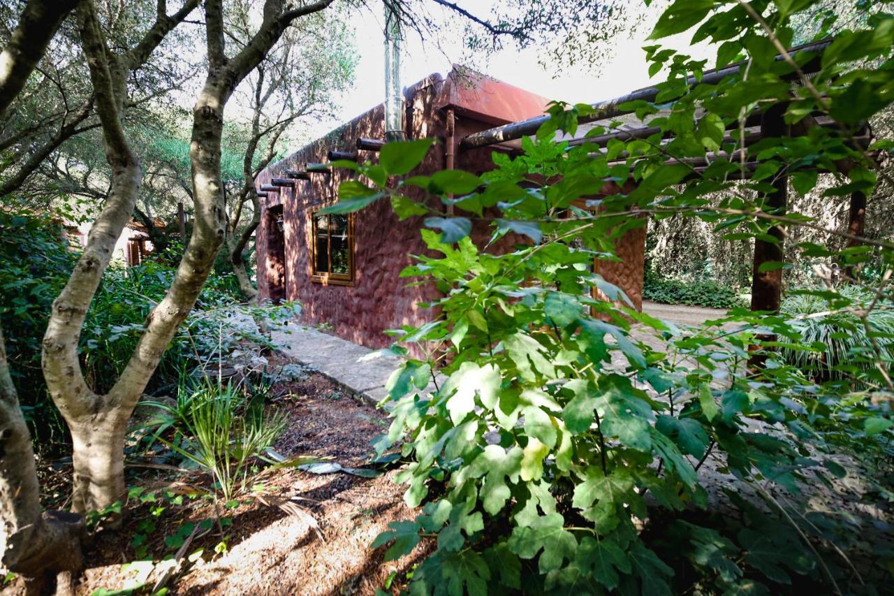 Tikal Boungalows Hotel Malcocinado  Exterior photo